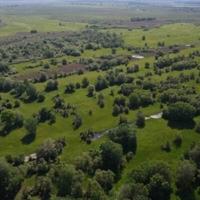 BodnarGergo_FAs_kaszAlOrEt