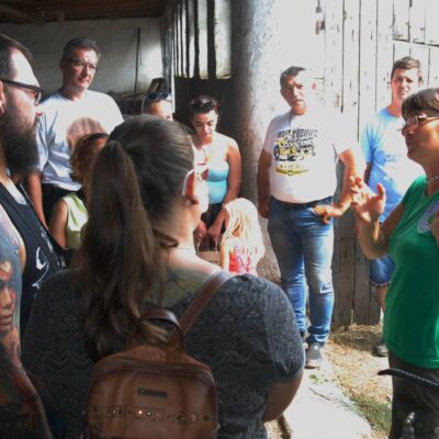 BodnarGergo_NyIlt_napon