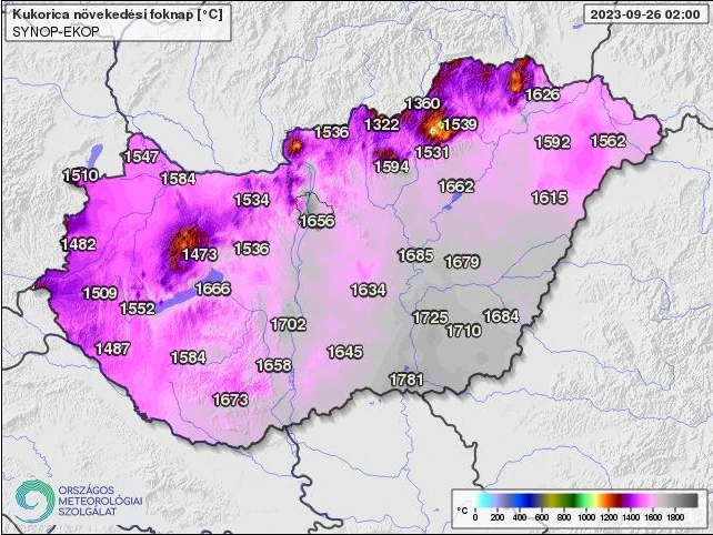 OMSZ: jól lehet haladni a betakarítással, a csapadék sokat segített a repce optimális fejlődéséhez