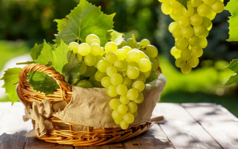 Világpiaci kitekintés a csemegeszőlő piacra