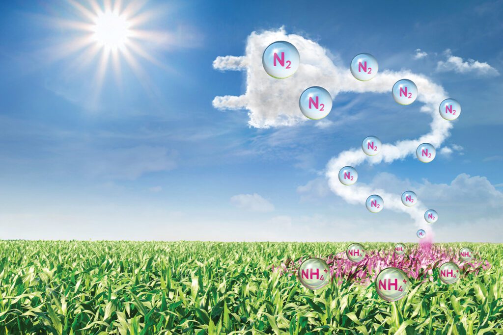 A Corteva Agriscience bevezeti a BlueN® tápanyag-hasznosulást segítő biostimulánst Magyarországon