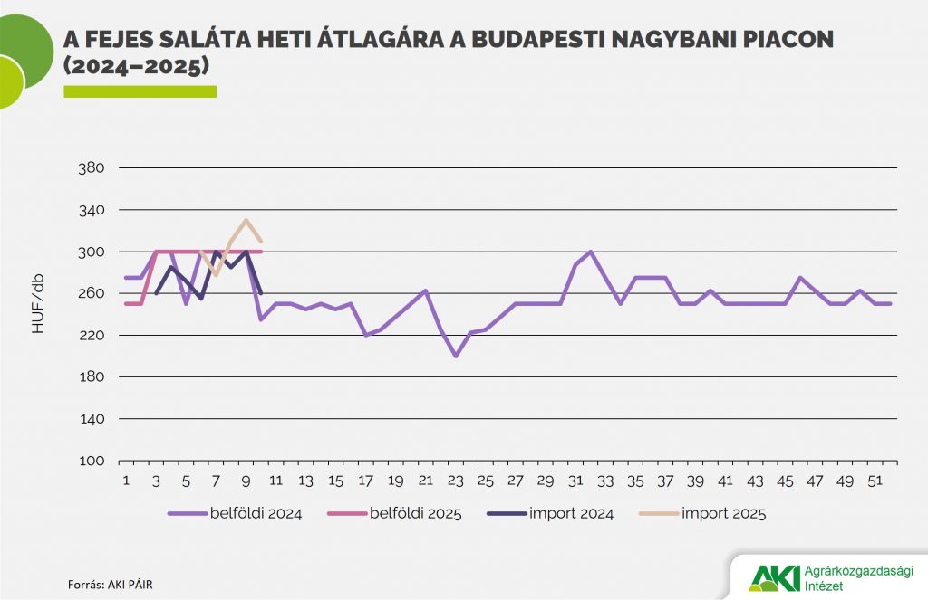 Fejes_saláta_ár