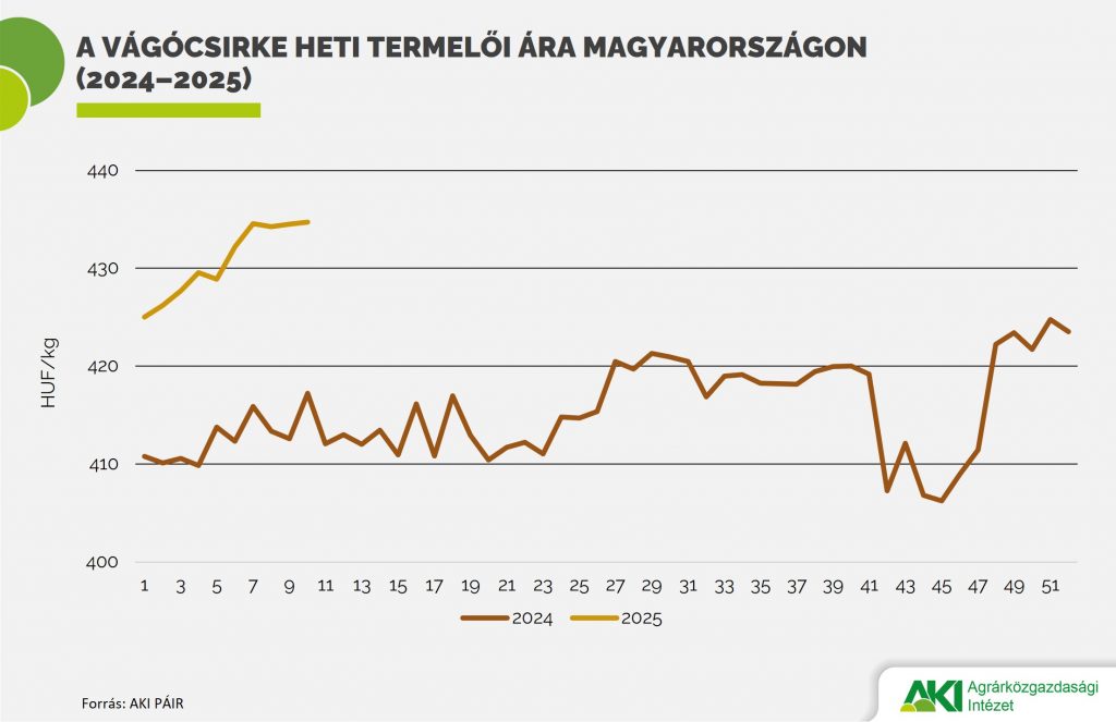 Vágócsirke_ár