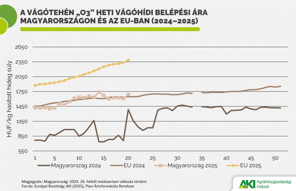 PAIR_eloallat_10_2025_abra A vágótehén „O3” heti vágóhídi belépési ára Magyarországon és az EU-ban (2024–2025)