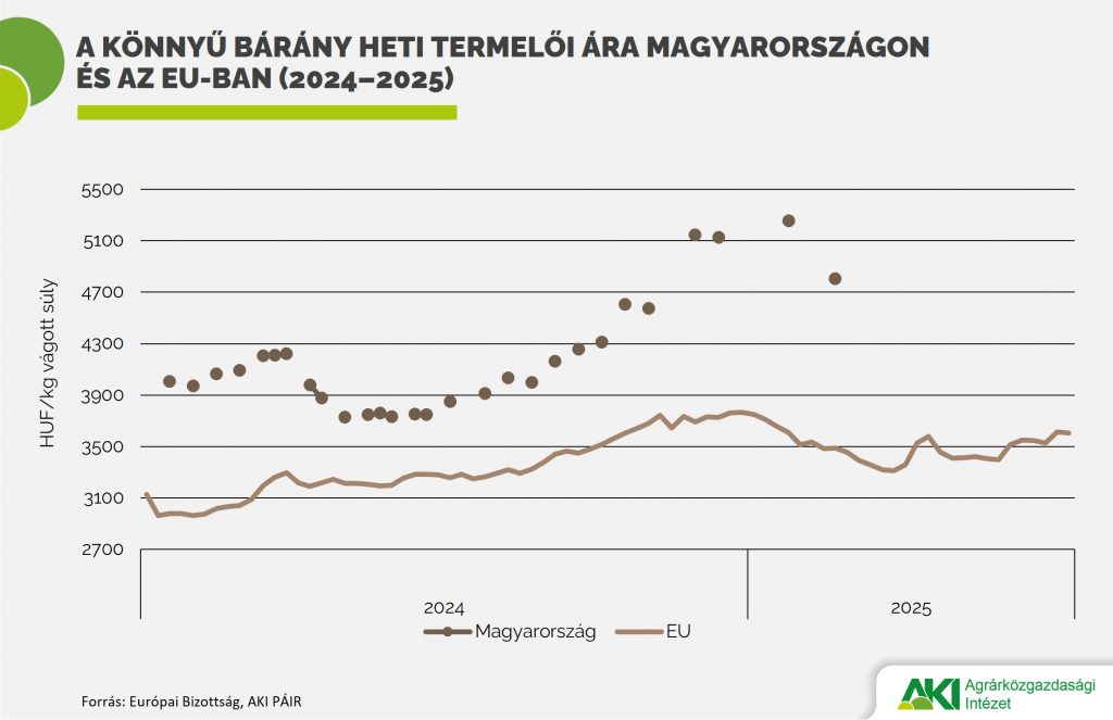 Könnyű_bárány_ára Könnyű_bárány_ára
