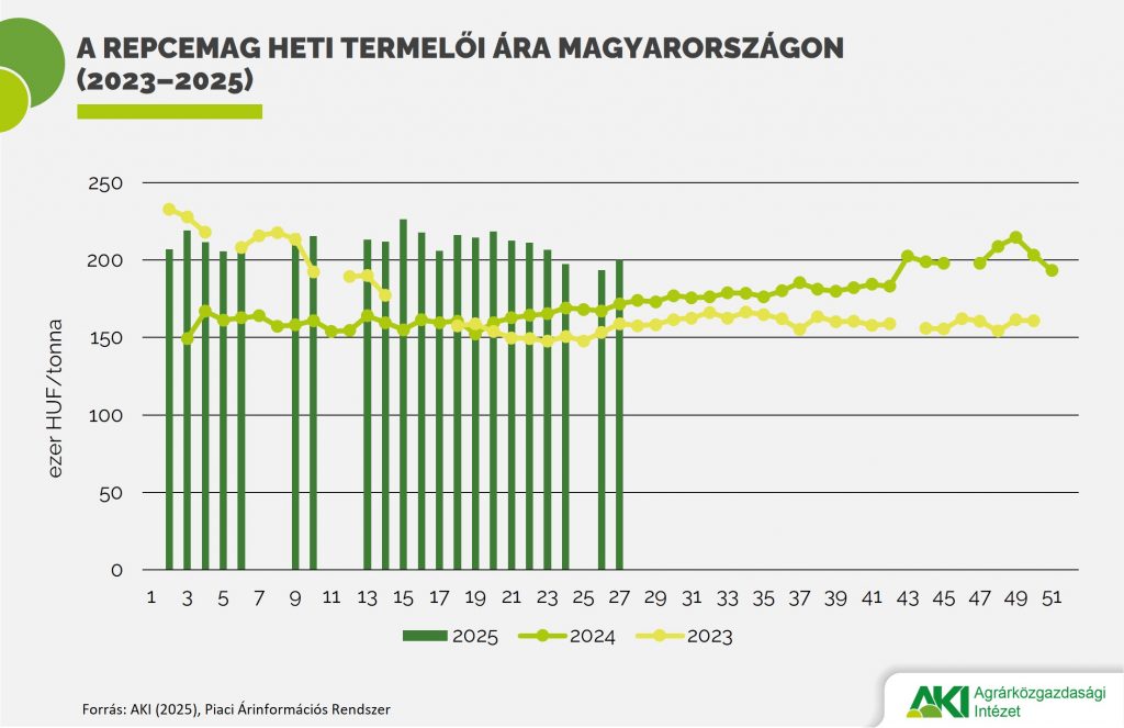 A repcemag heti termelői ára Magyarországon (2023–2025)