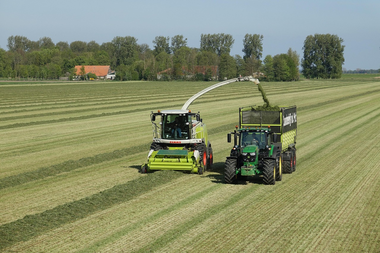 Fű, Traktor, Szénaboglya, Mezőgazdaság