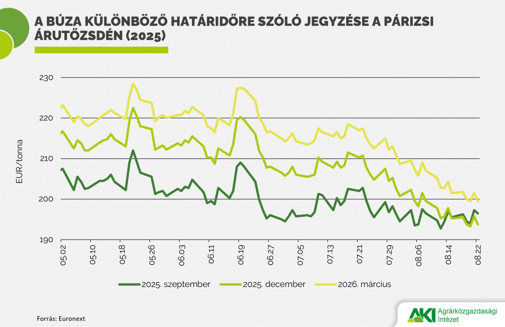 Búza_ára Búza_ára