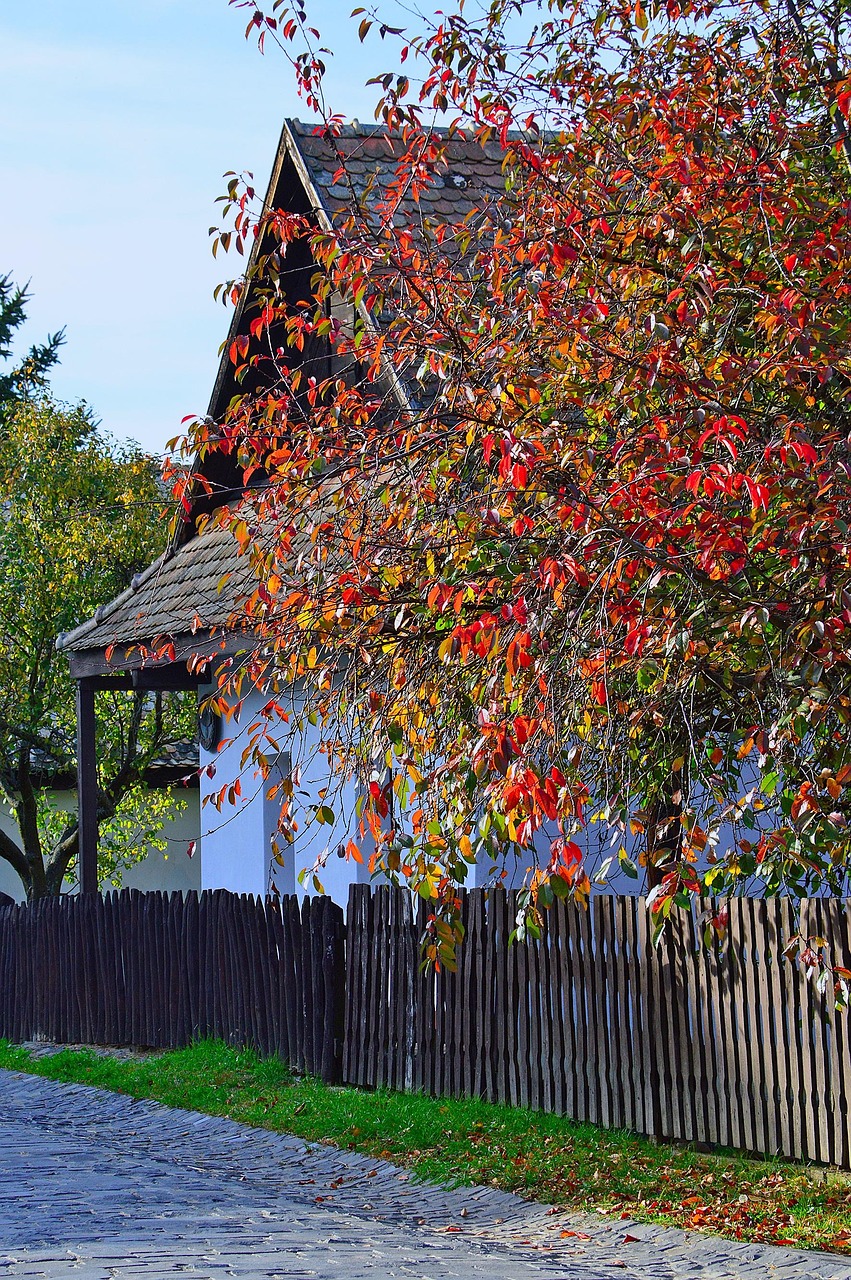 Magyar, Hollókő, Ősz, Táj, Falu, Falusi