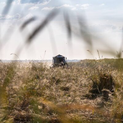 indianrizs07 indianrizs07