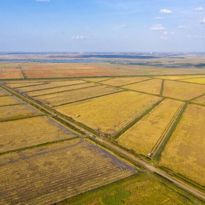 indianrizs08 indianrizs08