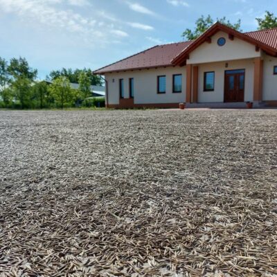 indianrizs09 indianrizs09