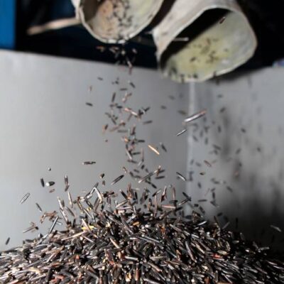 indianrizs11 indianrizs11