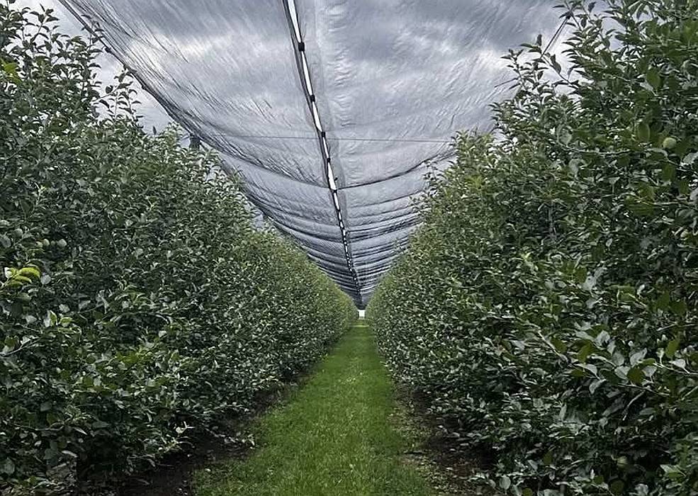 Roszik családi gazdaság