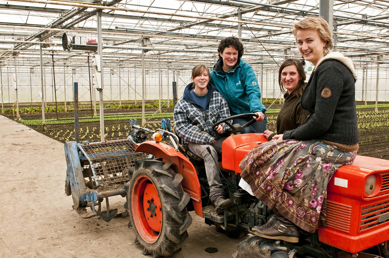 Traktor, Nők, Összegyűltek, Nő, Oldtimer