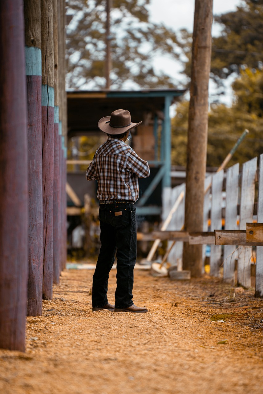 Cowboy, Személy, Gazda, Tanya