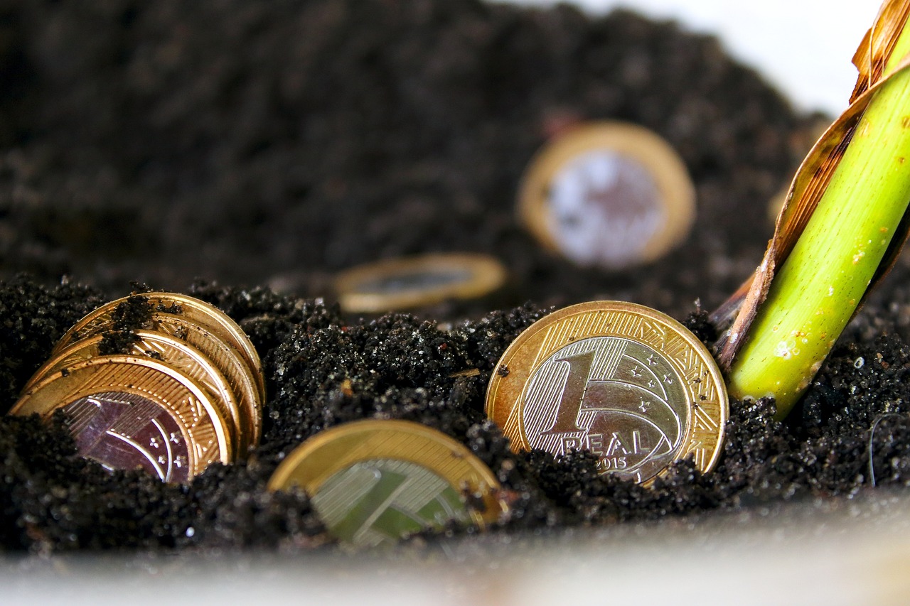 Igazi, Pénz, Brazil Pénz