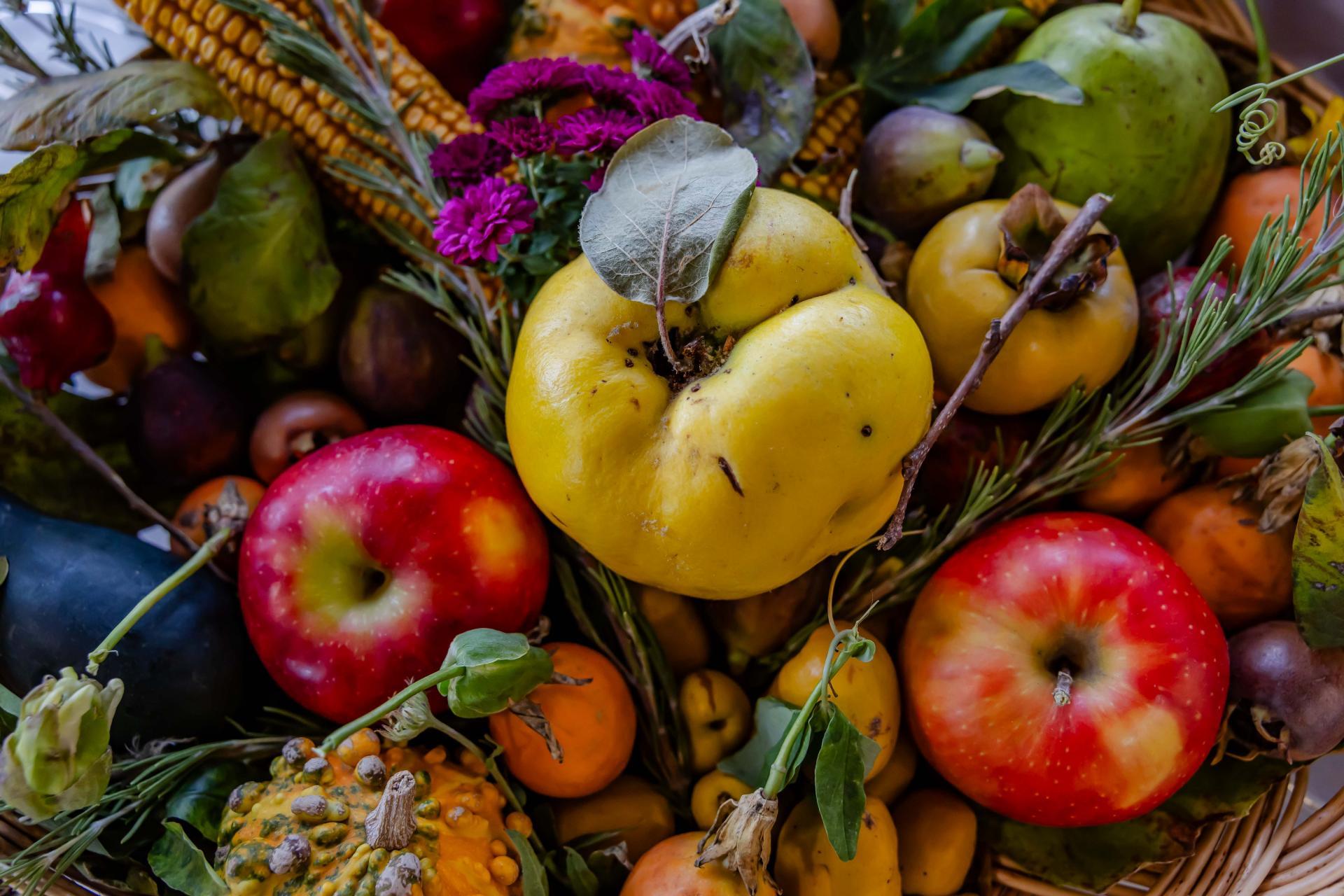 Átadták a legszebb konyhakertek díjait