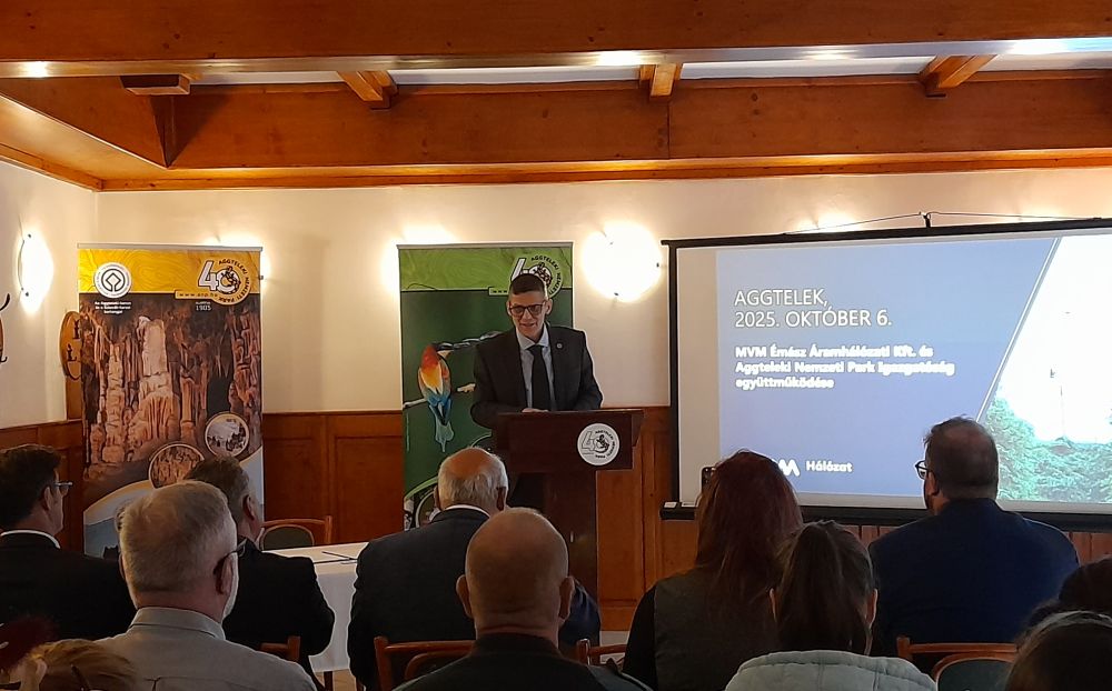 Veress Balázs - igazgató (ANPI) Veress Balázs - igazgató (ANPI)