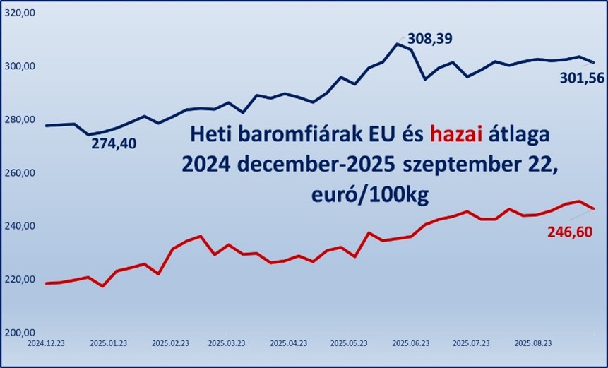 Kép megnyitása teljes méretben