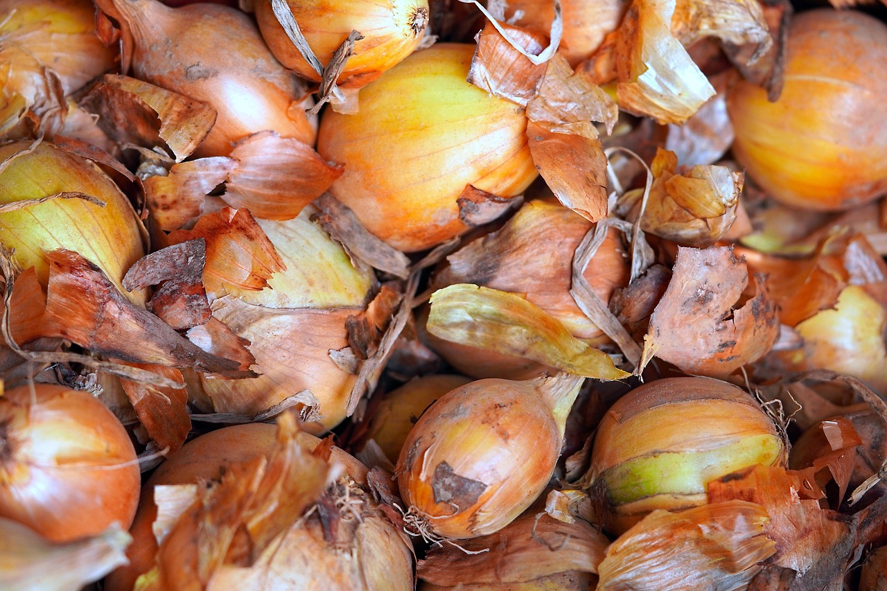 Hagyma, Aratás, Zöldségek