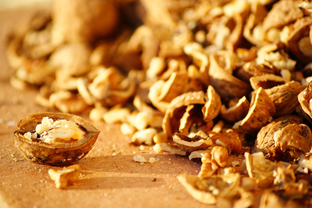 Dió, Étel, Dióhéj, Barna Dió, Héj