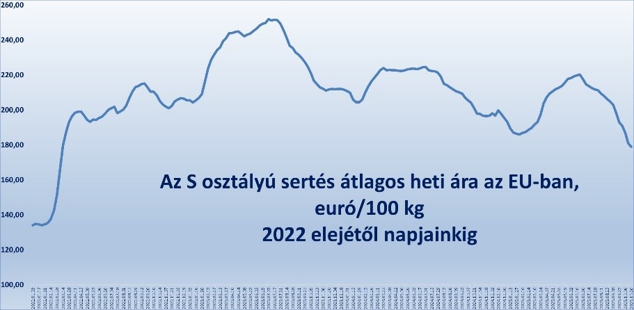 Kép megnyitása teljes méretben