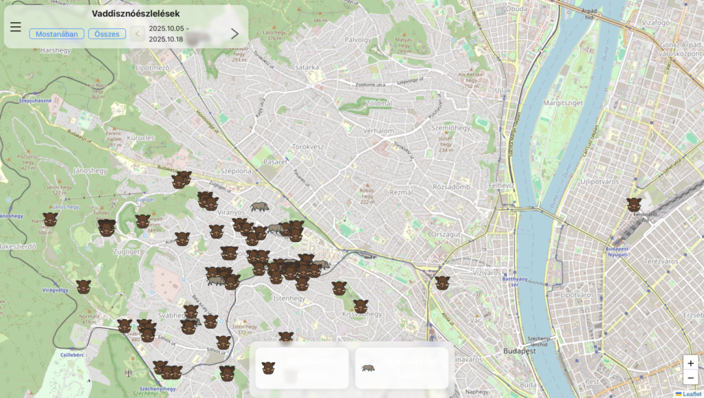Egyre több a vadállat a városokban