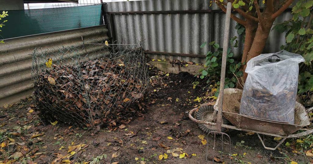 Így védjük a diót a kiskertben