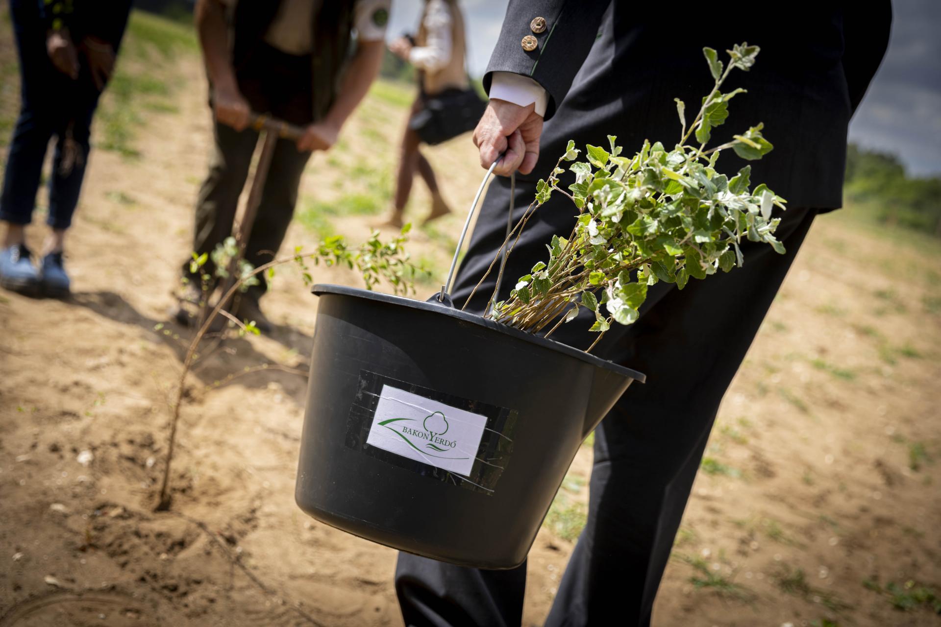 Az ország zöldvagyona meghatározó szerepet játszik a klímavédelmi célok elérésében