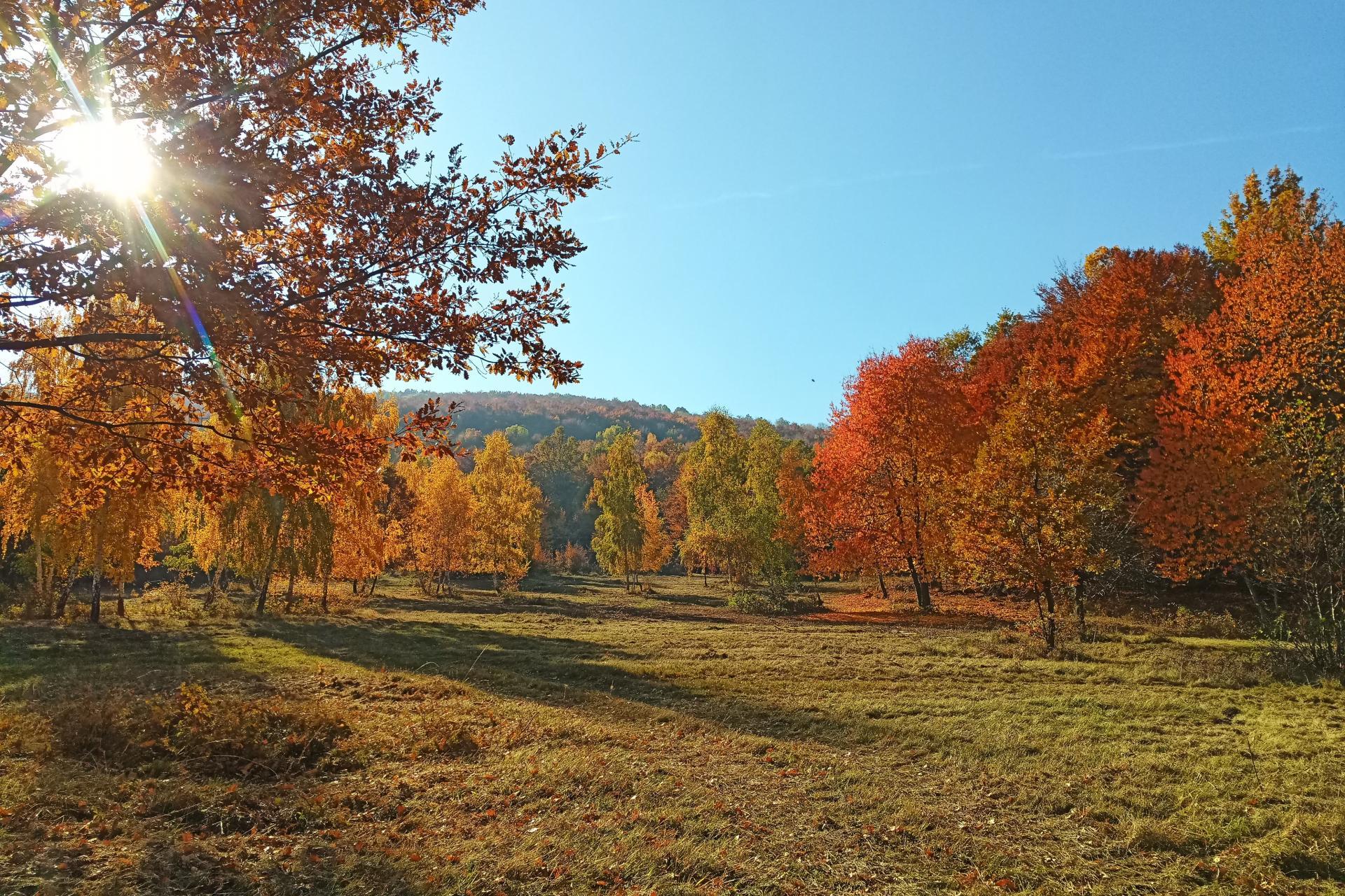 További támogatást kapnak a Nemzeti parkokat
