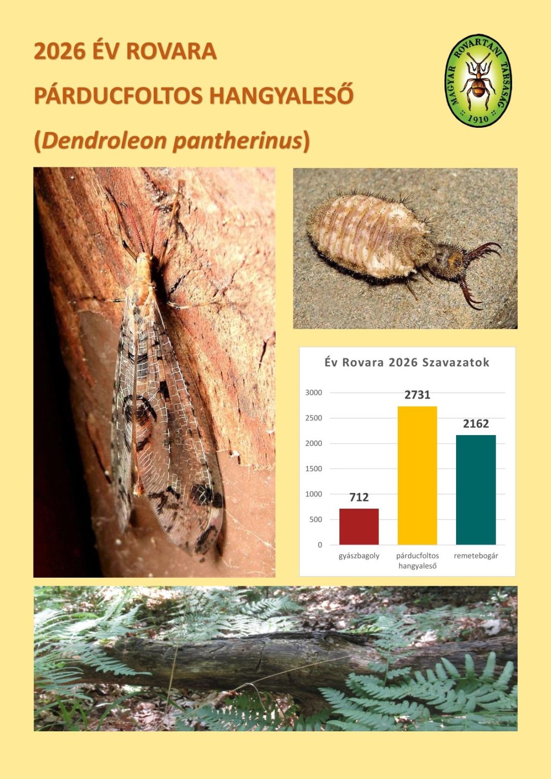 Odúlakó faj kapta az év rovara címet