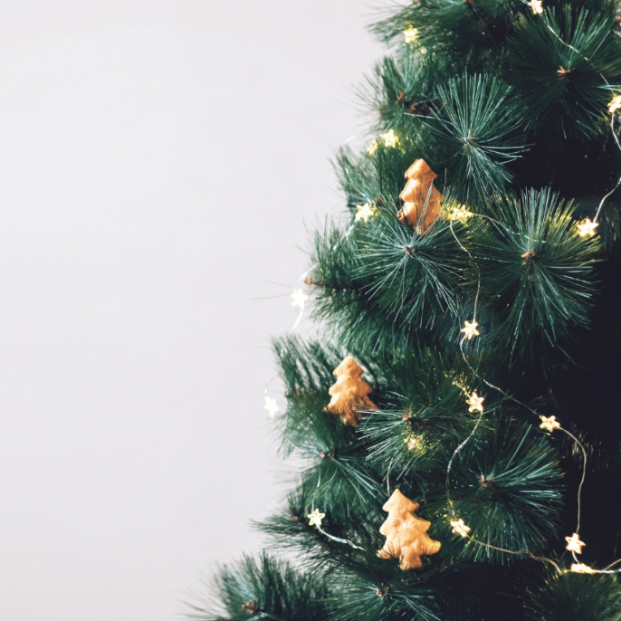 Nem a szemétlerakó az egyetlen lehetőség a karácsonyfa felhasználására