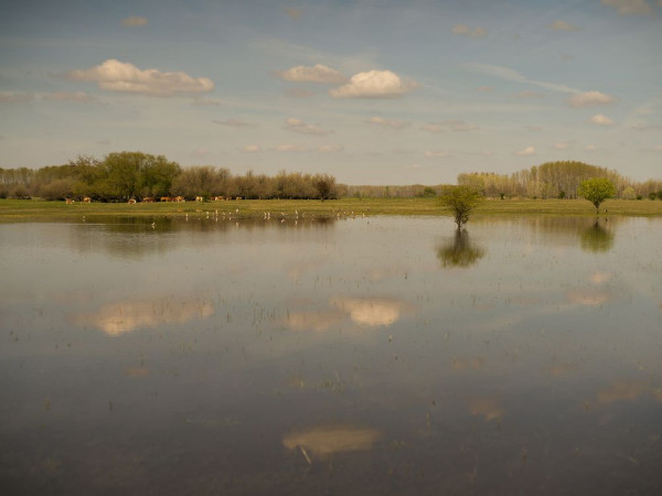Minden csepp számít! – Szakmai napot és terepbejárást tartott a NAK Marispusztán