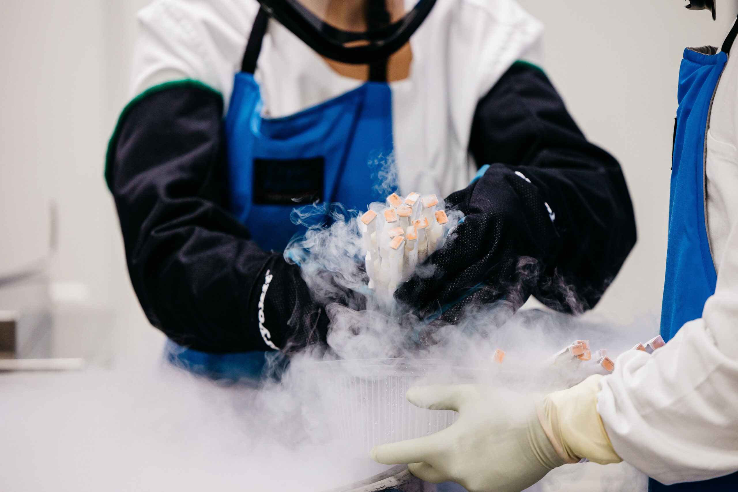 Ilyen környezetben készülnek az állatorvosi vakcinák