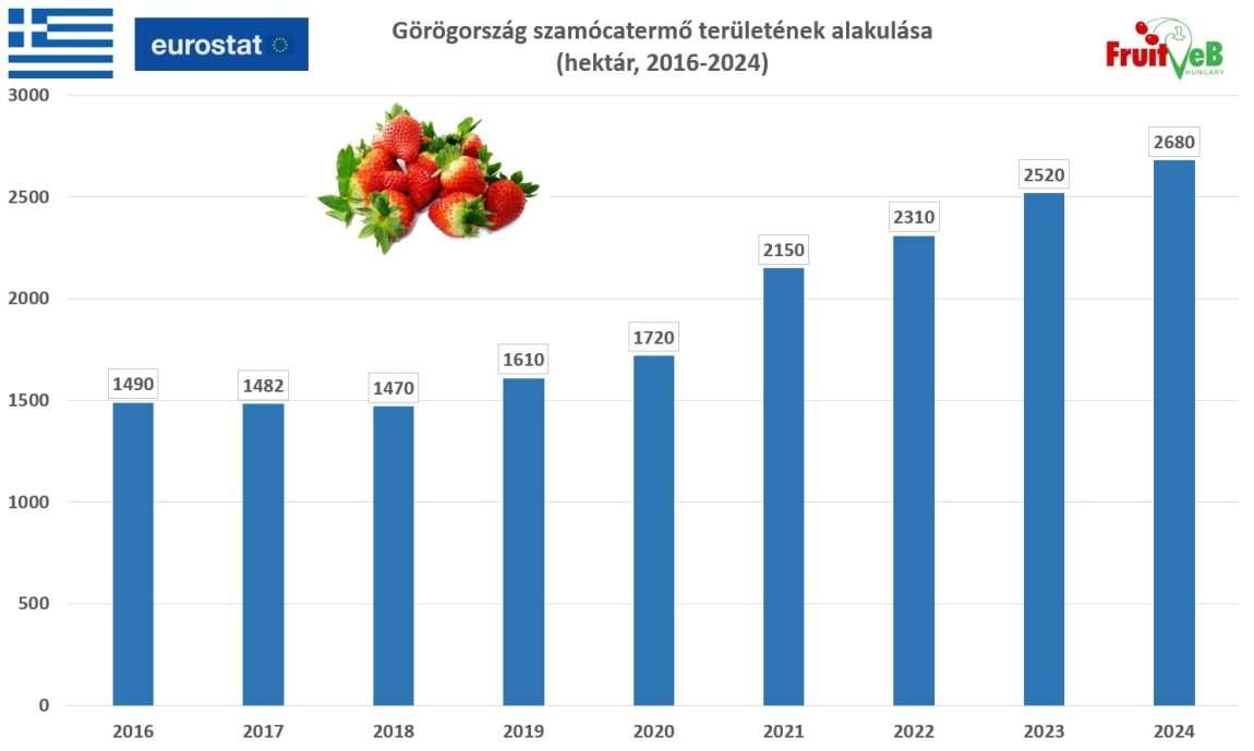 Szokatlanul korán érkezhet a görög szamóca a piacokra