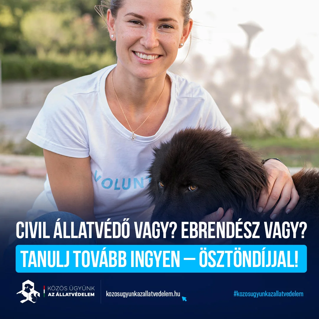 Mérföldkő az állatvédelemben: új ösztöndíjprogram indult