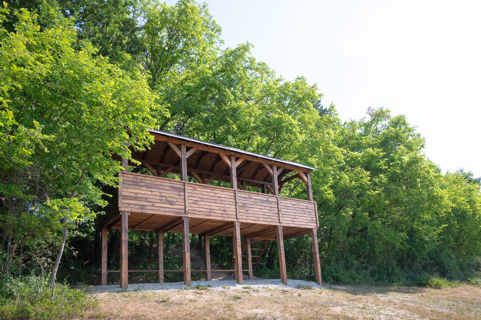 Közösen az élő erdőkért – A Pilisi Parkerdő 2025-ös évének eredményei és idei céljai