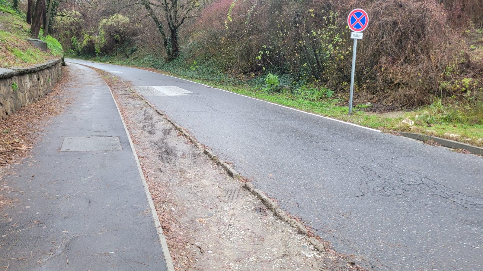 Alulértékelt zöld infrastruktúra az út melletti zöld sáv