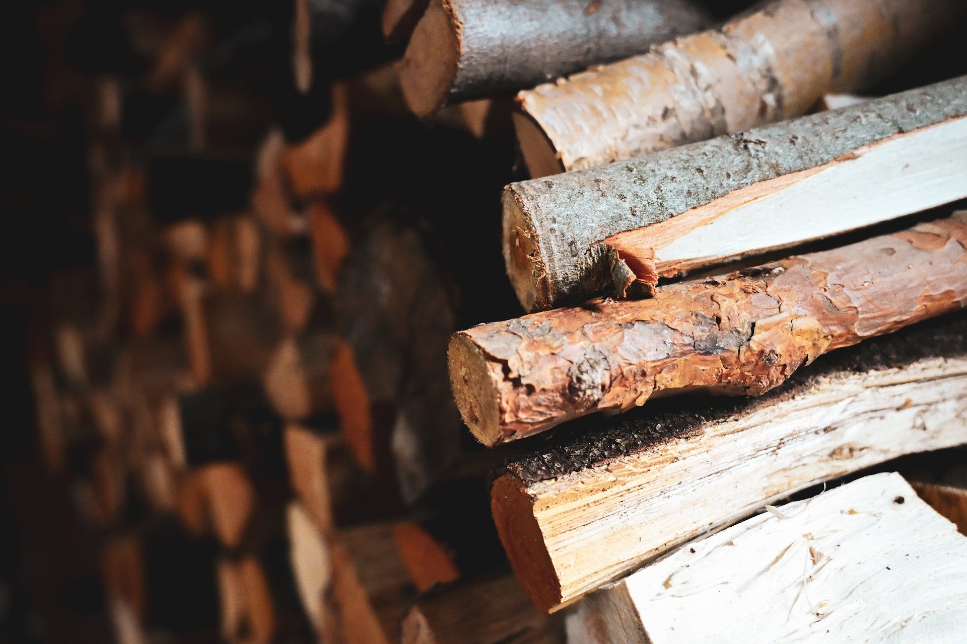 Újra felbukkantak a tűzifa csalók