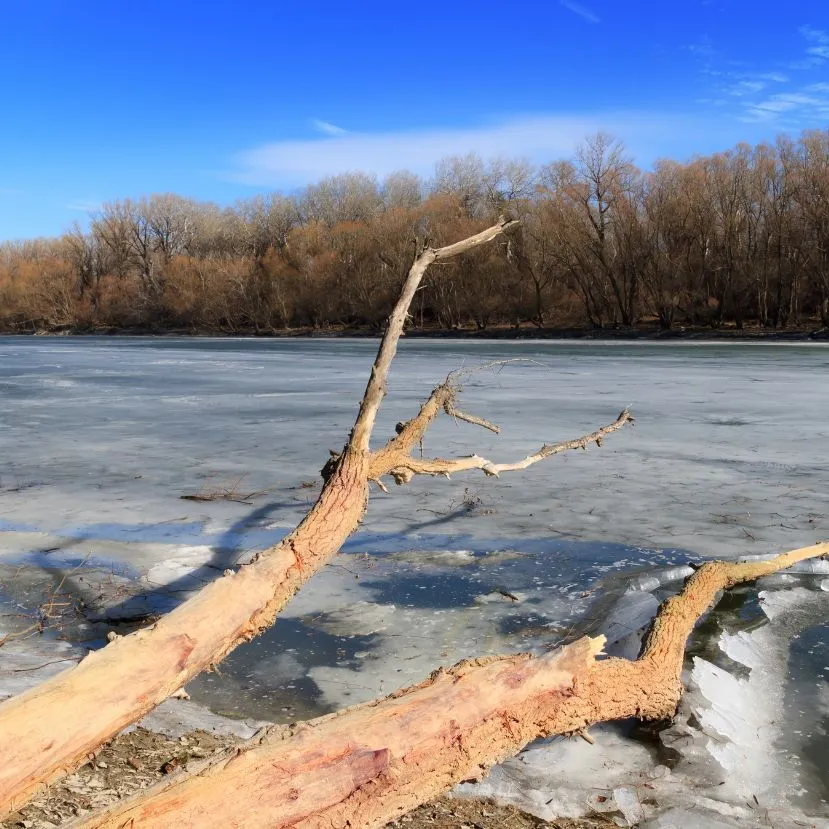 Hóvihar ellenére is alacsony a Duna vízállása