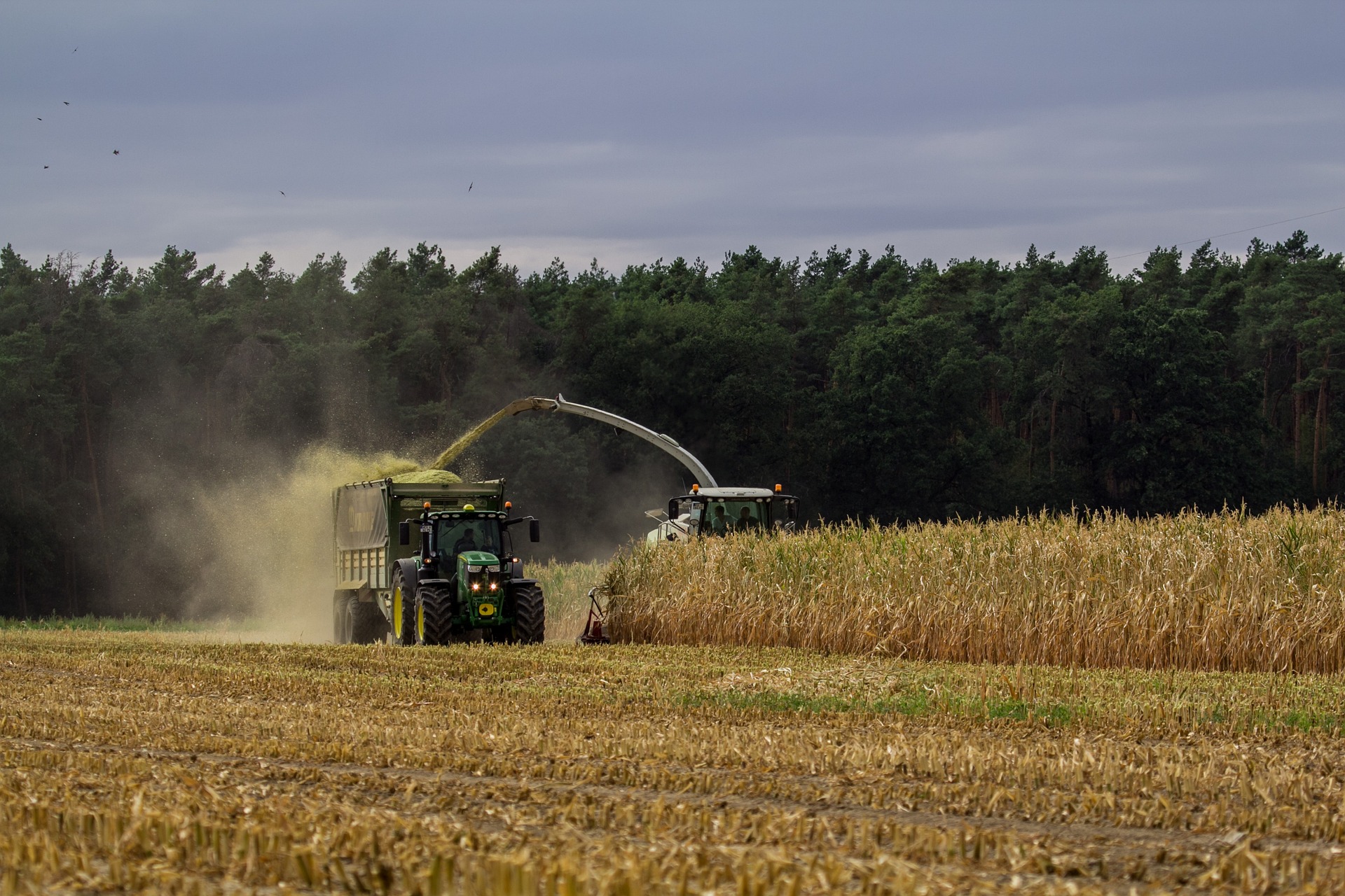 Változások a gazdaságátadás szabályaiban