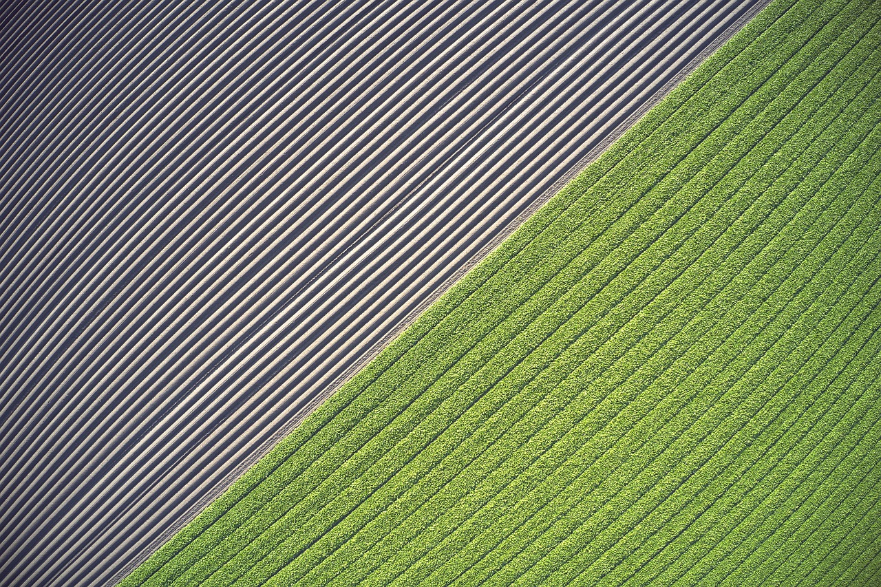 Változás a termőföldvédelmi törvényben