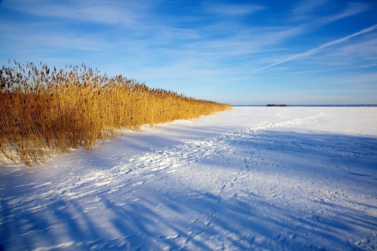 A havazás reményt adhat a földeken, de a csapadékhiány és a kártevők továbbra is komoly kihívást jelentenek