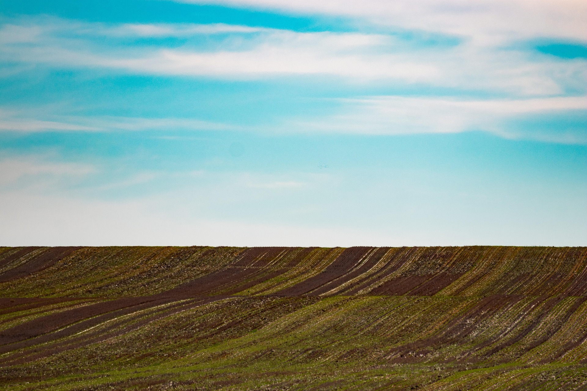 Fontos tudnivalók a 10 hektár alatti állami földek pályázatához