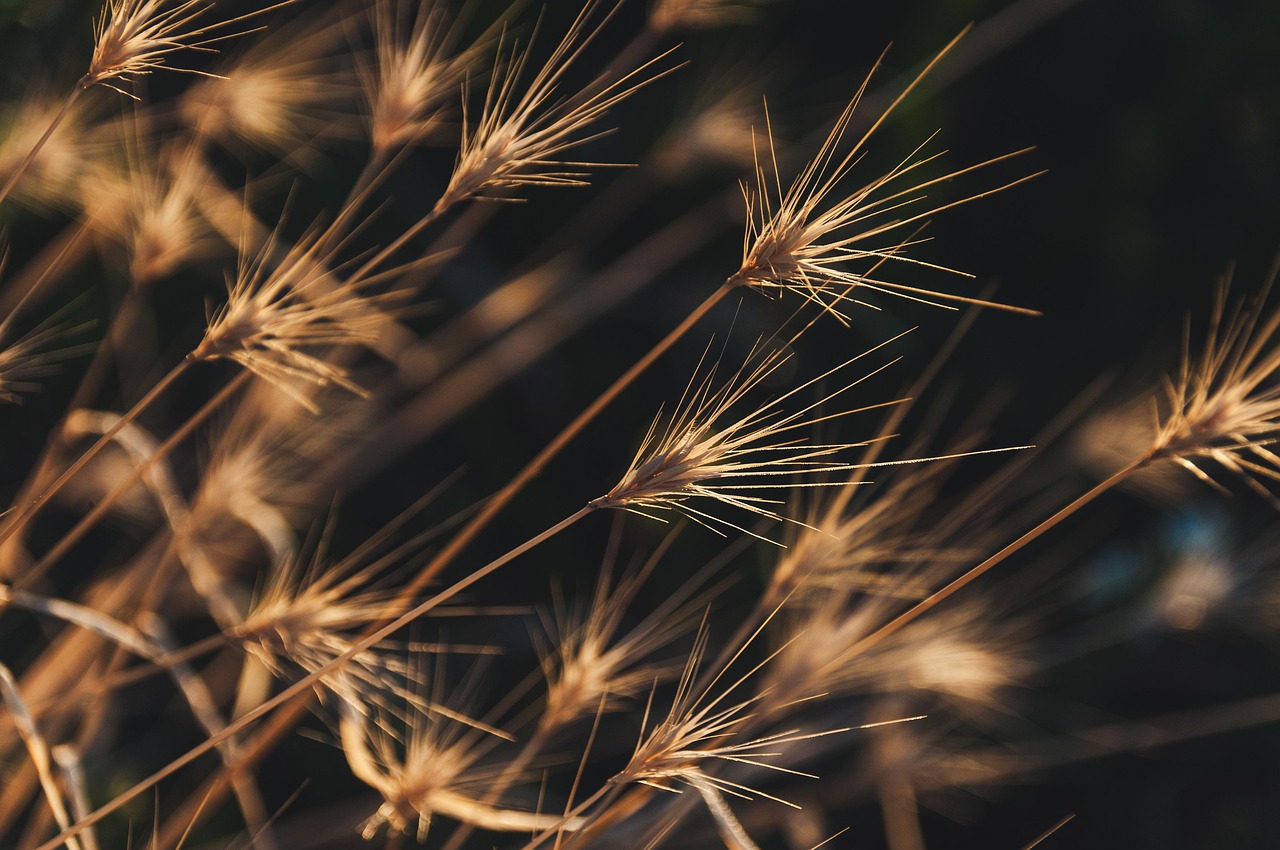 Az Agrárminisztérium 2026-ban is támogatja a gazdálkodók tudatosságát