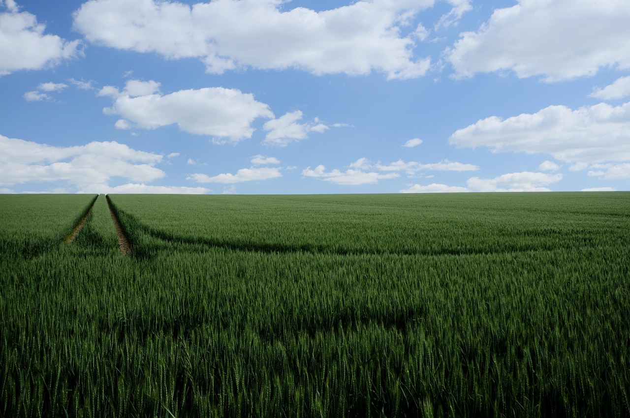 Új szabályok a földhasználat és haszonbérlet területén