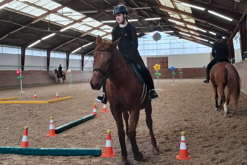 Nyílt nap a Debreceni Lovasakadémián