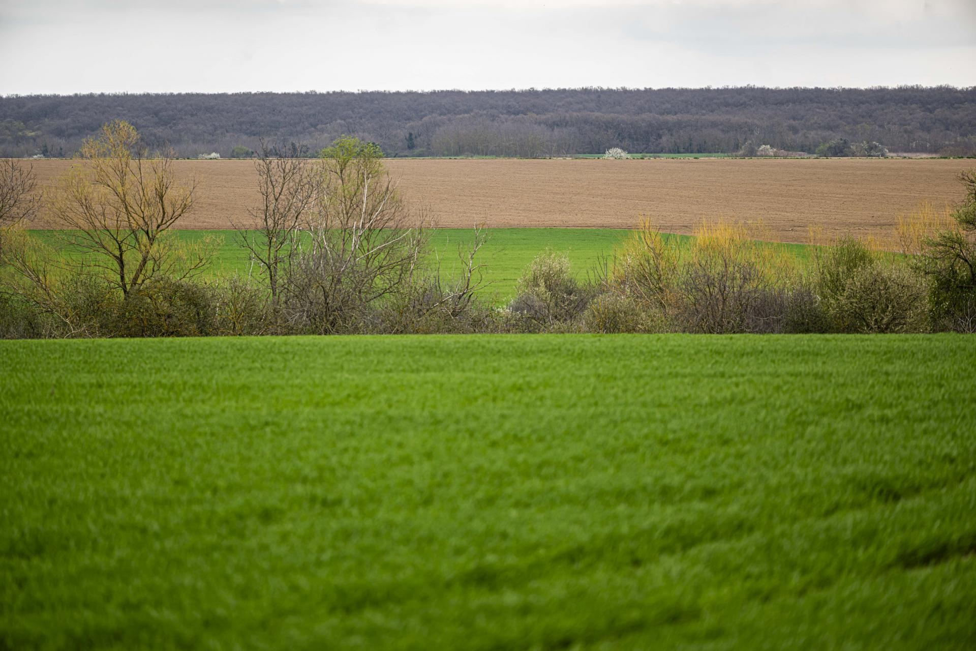 Ismét új elemek az AÖP-ben