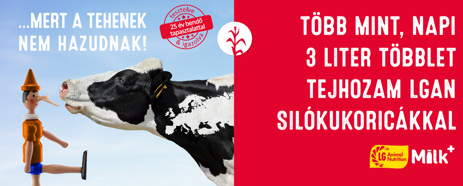 Többlet tejhozam az LGAN silókukoricákkal